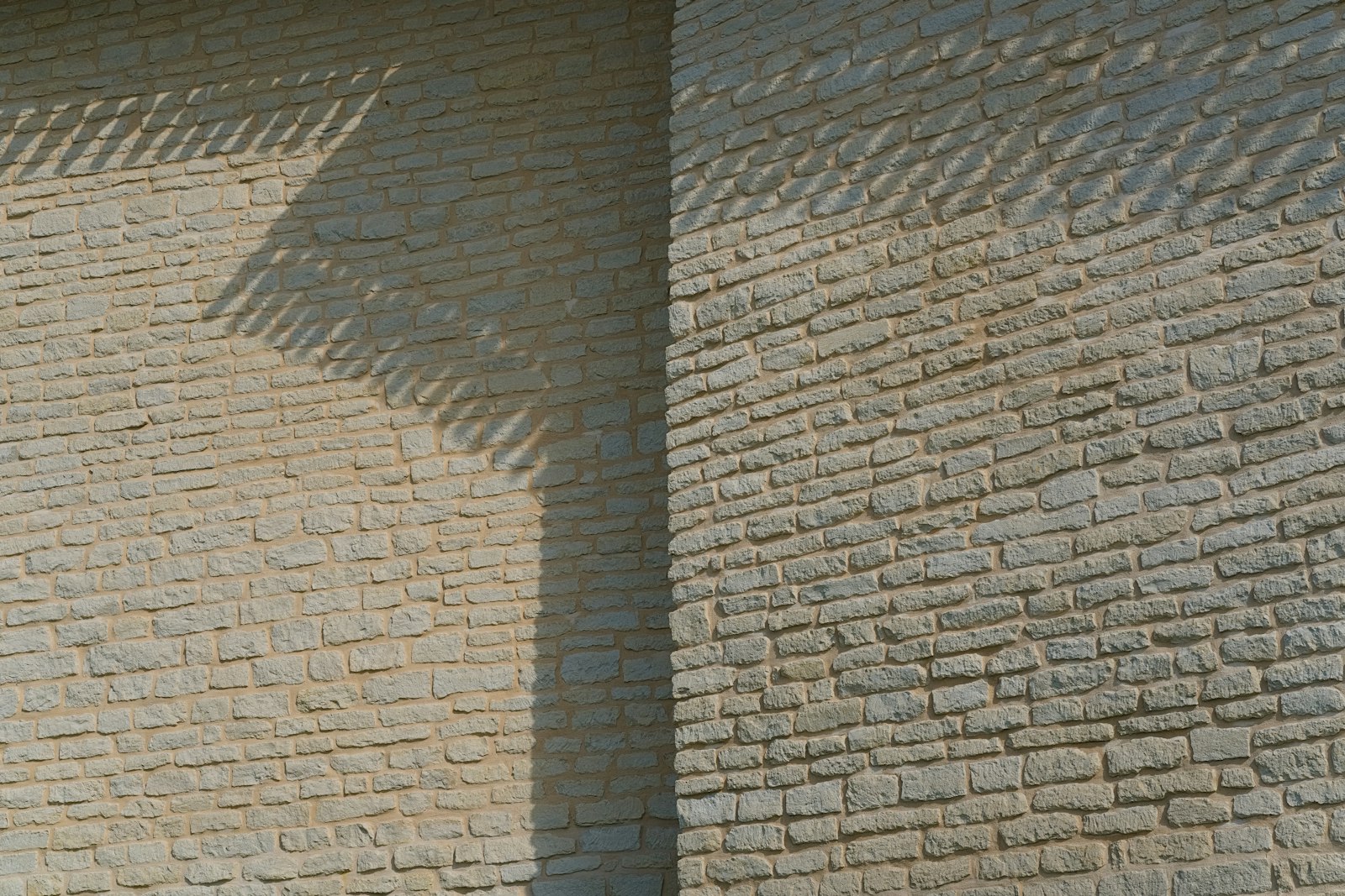 Vertical slat shadows fall across a textured stone wall.
