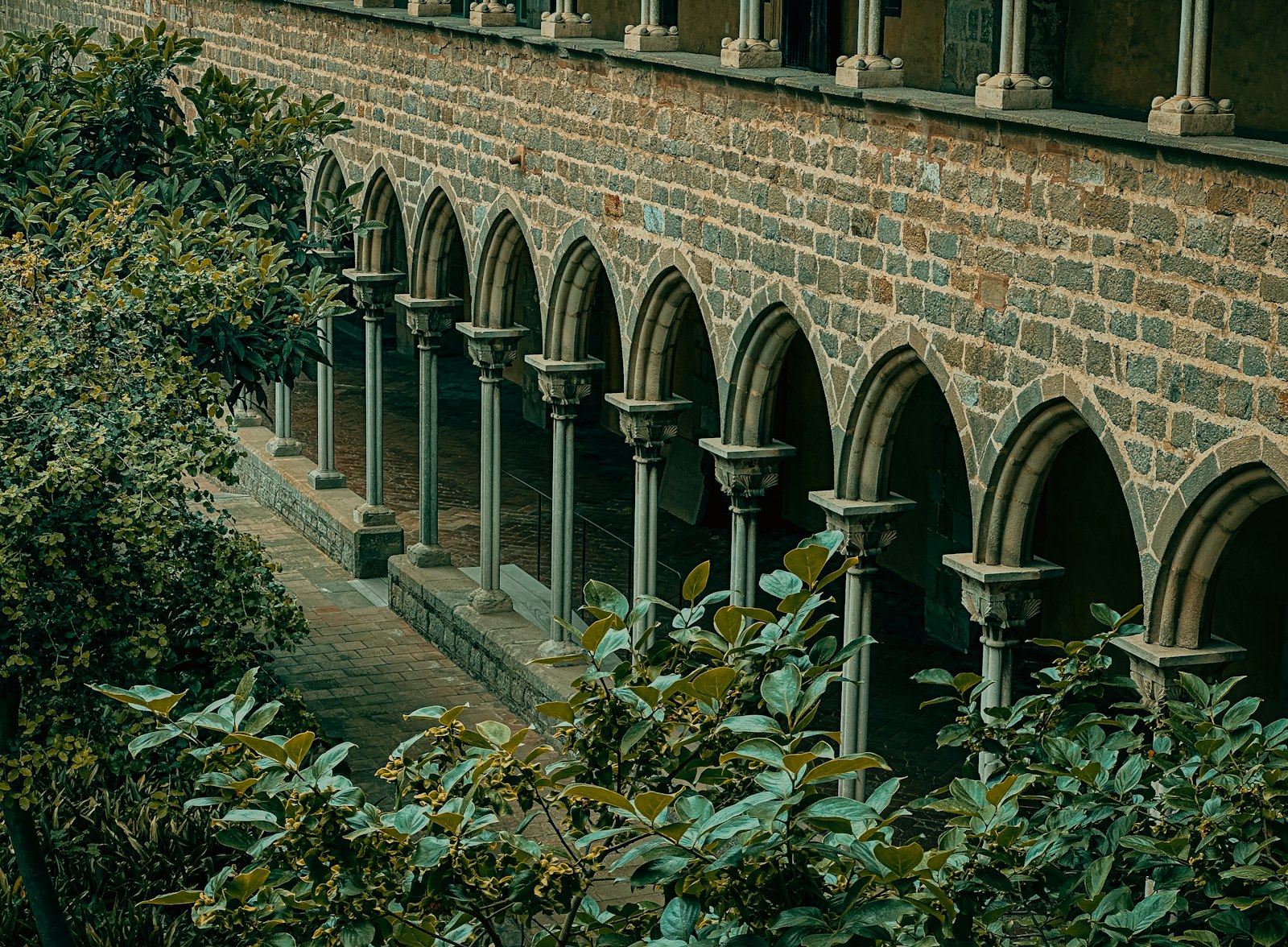 Sunlight falls through stone arches onto a brick wall and greenery in a quiet courtyard.